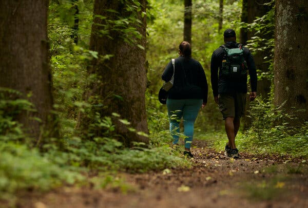 explore essential tips and advice in our beginner's guide to trail travel and stays, perfect for planning your first outdoor adventure with confidence and comfort.