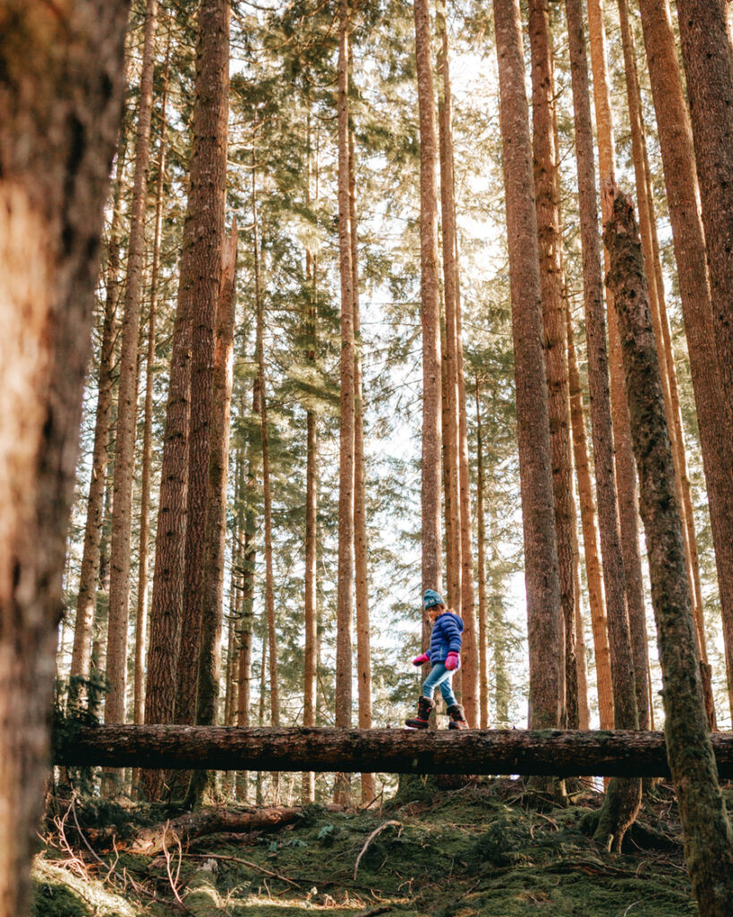 discover family-friendly trail stays offering comfortable accommodations and fun outdoor activities perfect for all ages. enjoy nature and create lasting memories together.