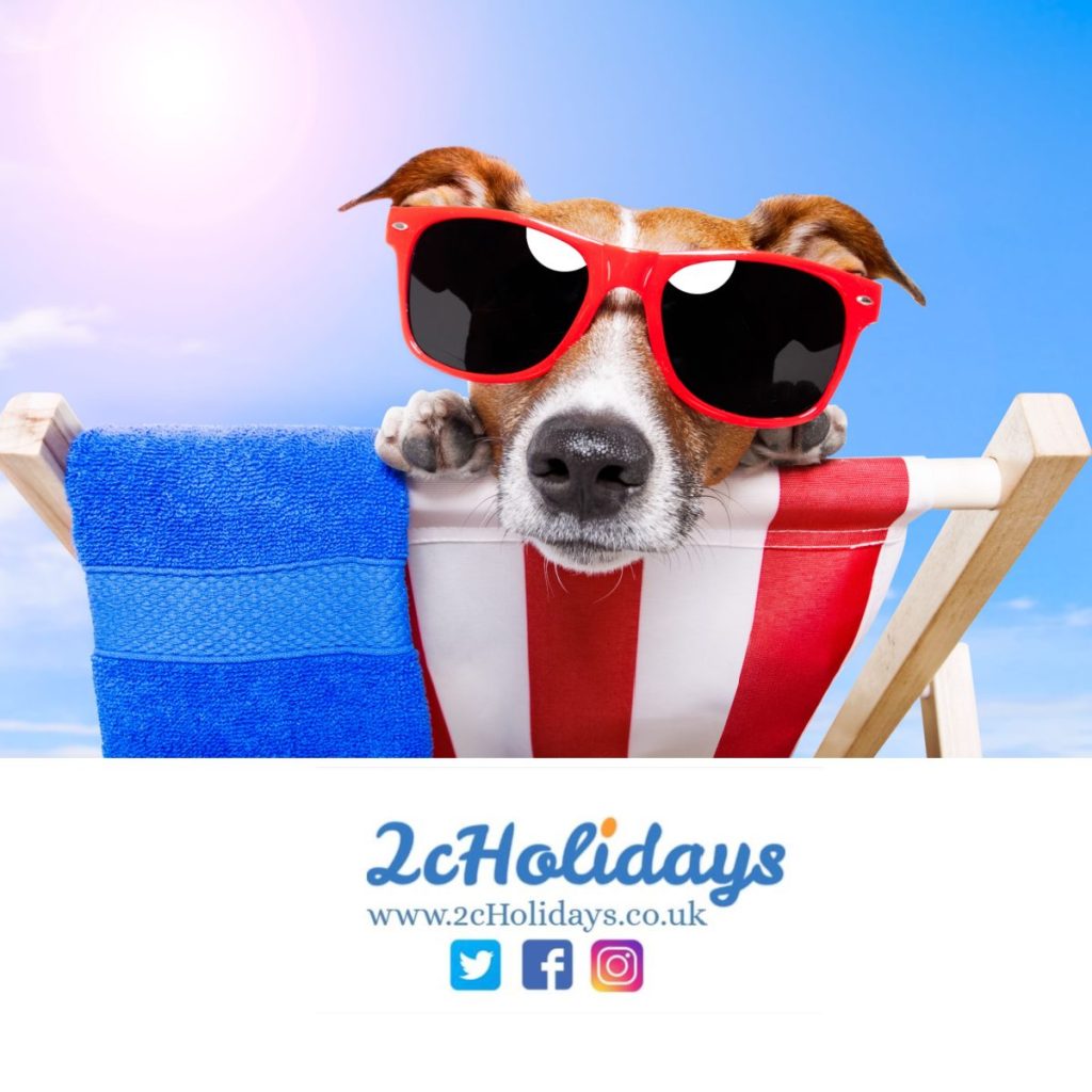 discover how to find pet-friendly accommodation on trail travels, ensuring a comfortable and enjoyable trip with your furry friends.