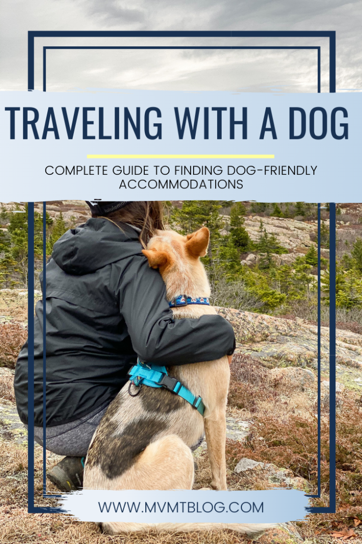discover tips and resources for finding pet-friendly accommodation on your trail travels, ensuring a comfortable stay for you and your furry companion.