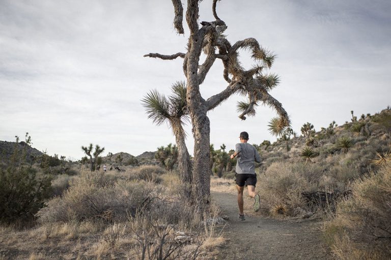 discover essential safe and fun trail travel tips to enhance your outdoor adventures, ensuring a secure and enjoyable experience on every hike.