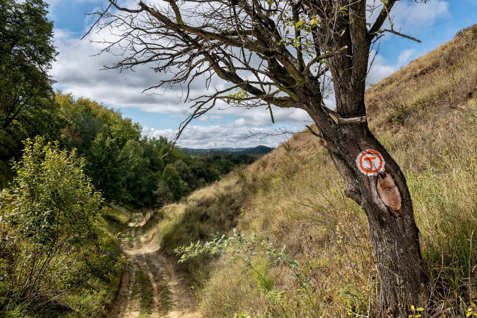 discover how technology is revolutionizing trail travel and accommodations, enhancing your outdoor adventures with innovative solutions for a seamless and memorable experience.