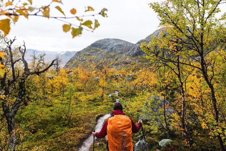 discover the best trail stays perfectly suited for nature lovers seeking adventure, tranquility, and breathtaking outdoor experiences.