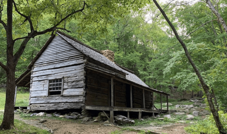 discover the ultimate guide to trail cabins and mountain lodges, featuring tips on the best stays, scenic locations, and outdoor adventures.