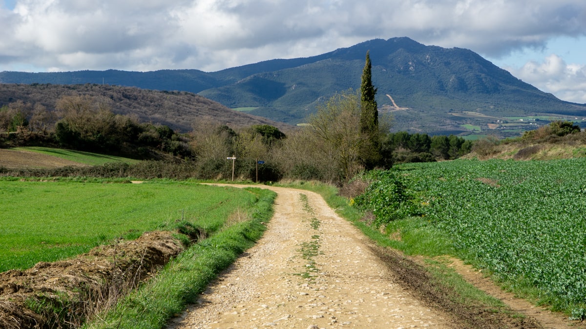 discover the top trail travel highlights and the best stays along your journey. explore scenic routes, unforgettable adventures, and comfortable accommodations for your perfect trail experience.