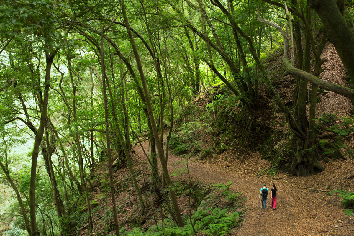 discover the best places to stay for your trail travel adventures. find cozy accommodations near popular trails to make your journey comfortable and memorable.